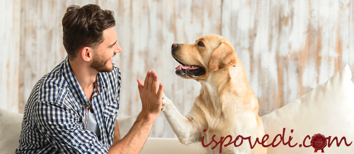 парень с собакой