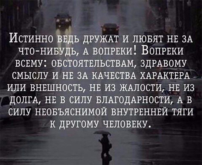 Подборка картинок. Вечерний выпуск (53 фото)