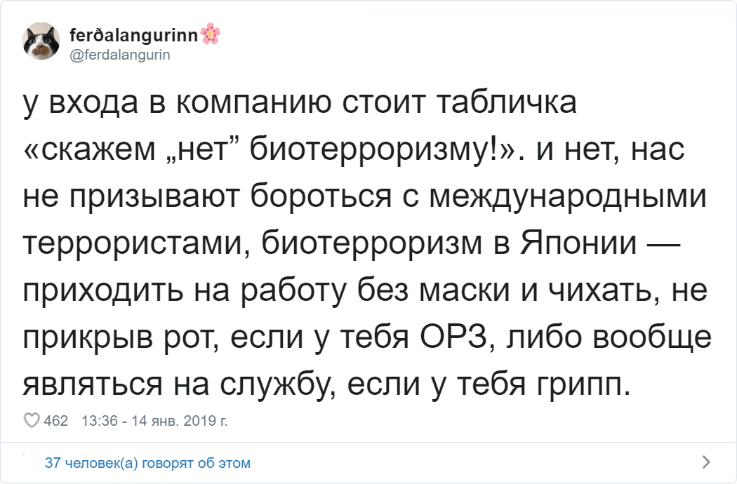 Девушка из России живёт в Японии и рассказывает об этой стране так, как не сумеет ни один гид жизнь,интересное,япония