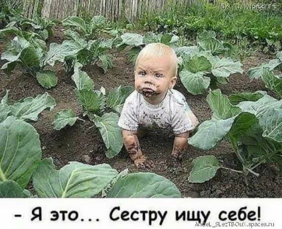 - А что, мужик, метро в вашем городе есть?... весёлые, прикольные и забавные фотки и картинки, а так же анекдоты и приятное общение