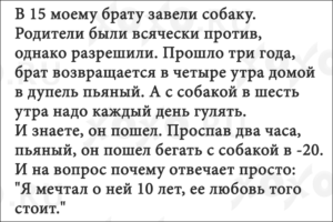 13 невыдуманных историй из жизни для отличного настроения 