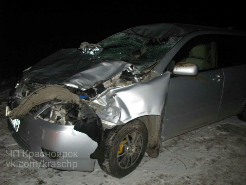 Под Красноярском водители ВАЗа и Toyota протаранили табун лошадей, один человек погиб