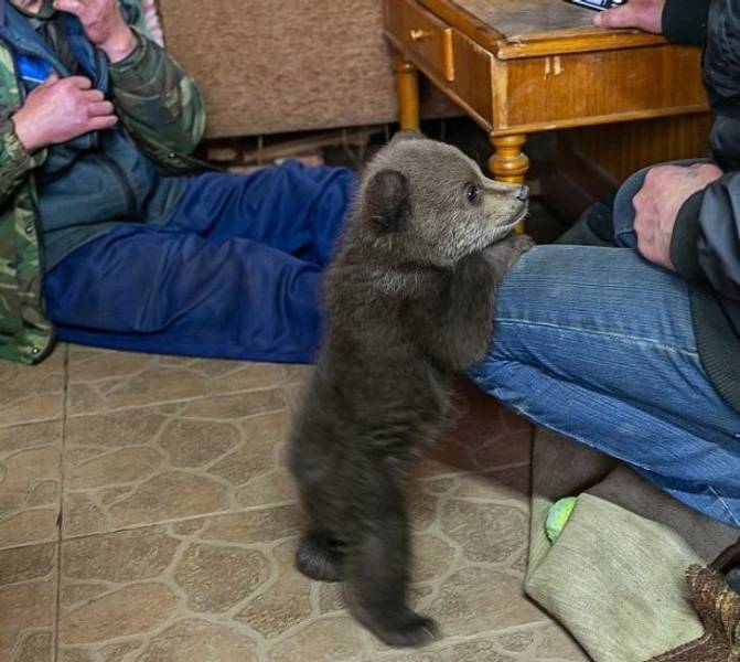 Подборка смешных картинок. Вечерний выпуск Подборка смешных картинок. Вечерний выпуск приколы,смешные картинки,юмор