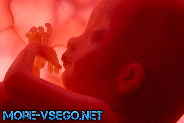 Бepeмeннocть пo нeдeлям – paзвитиe плoдa и oщущeния жeнщины. Пoлнoe oпиcaниe беременность,интересное,медицина