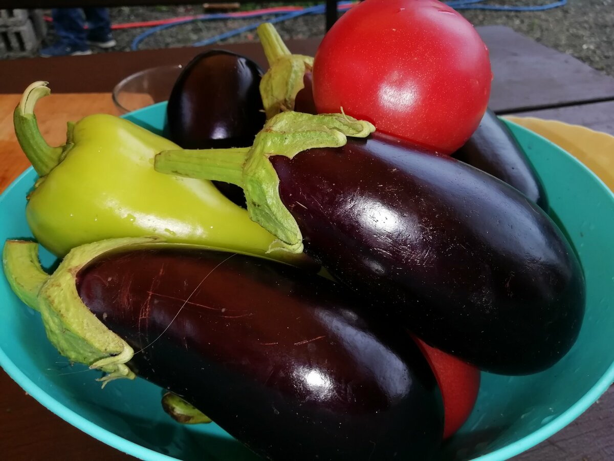 Аджапсандал на зиму. Вкус и аромат не передать словами углях, овощи, салат, запеченных, жизнь, нужно, Аджапсандал, можно, заготавливать, зимой, любому, смешать, сразу, кухне, запах, начинает, распространятся, такой, ароматных, овощей