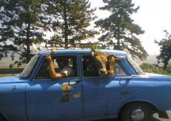 А вот и автоприколы! 