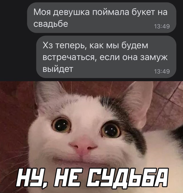 Новая подборка прикольных картинок Новая подборка прикольных картинок приколы,смешные картинки,юмор