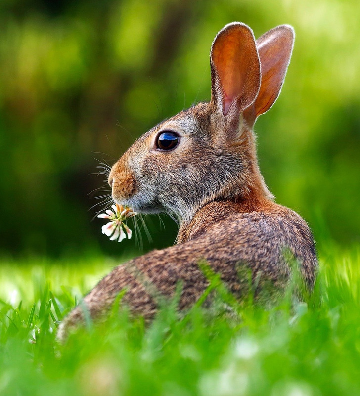 14 добрых историй, в которых столько тепла, что можно растопить весенние сугробы 