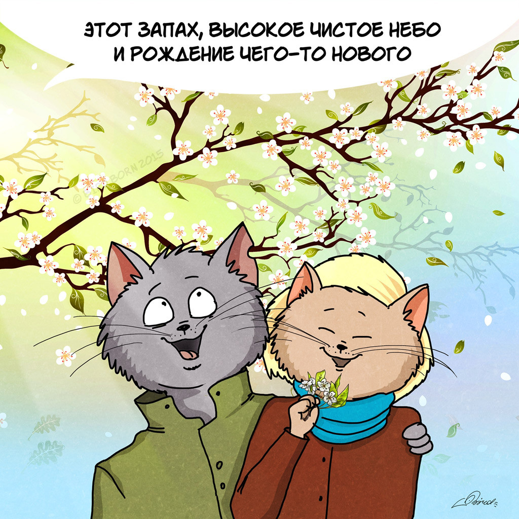 Нежностями, смешные картинки приход