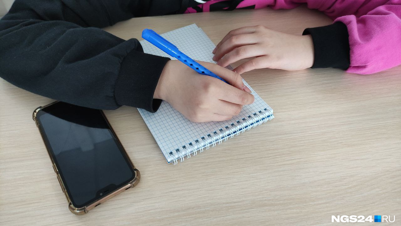 Красноярка раскритиковала идею установить глушилки в школе №158