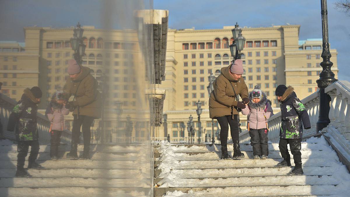 Синоптик Леус назвал ночь на 30 ноября самой холодной с начала сезона в Москве