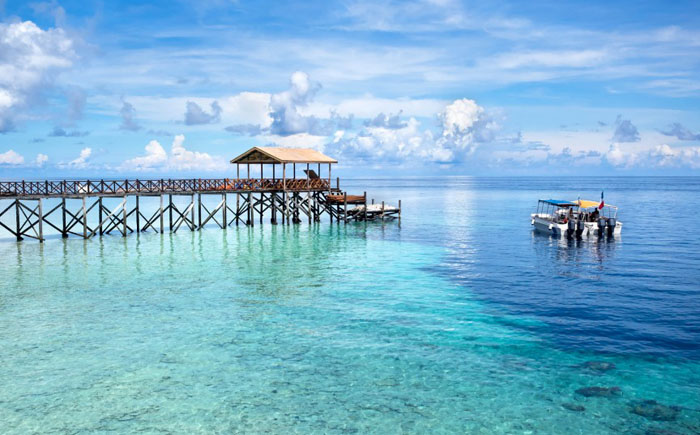 Удивительно прозрачные водоемы Удивительно прозрачные водоемы животные