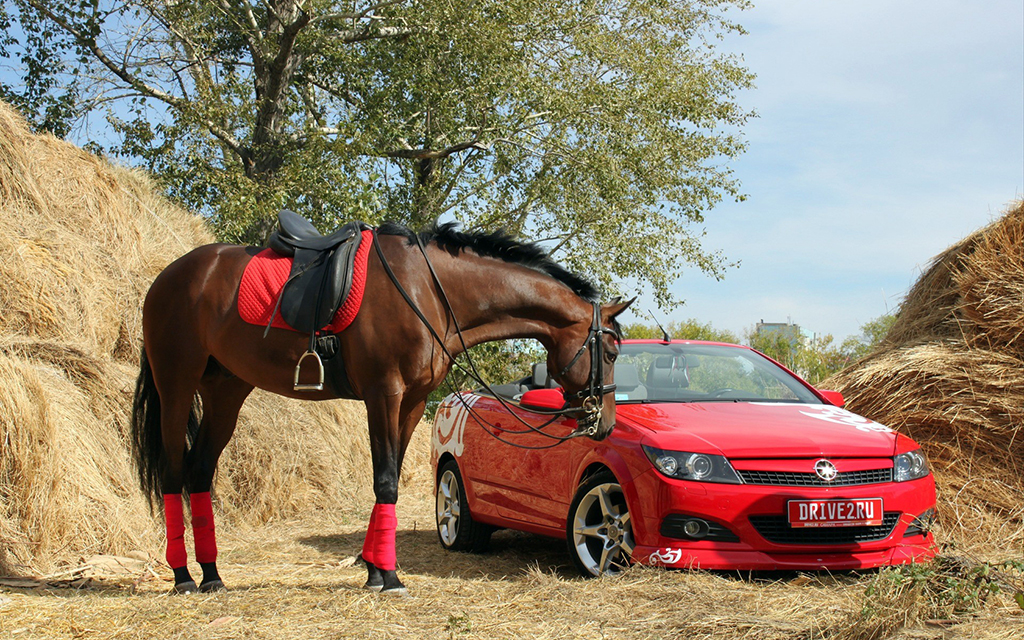Дикие дорожные правила в разных странах мира Дикие дорожные правила в разных странах мира дорожные правила,мир,общество,странности