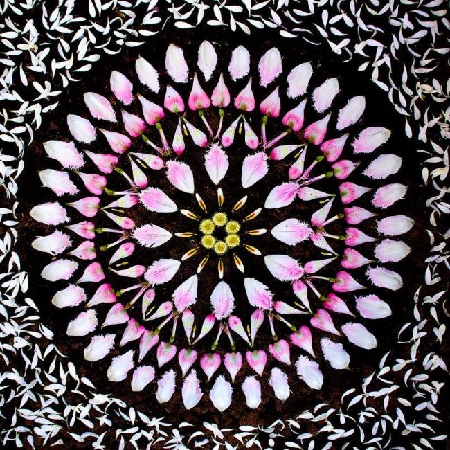 Художница создает красочные мандалы из цветов и растений мандала