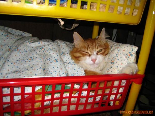 Давайте улыбаться вместе! :) №170912