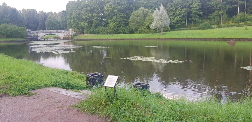 Цифрофашизм наступает: началась открытая дискриминация граждан, не использующих электронные «госуслуги» россия