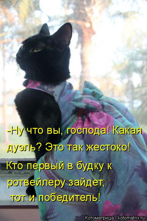 Котоматрица: -Ну что вы, господа! Какая  дуэль? Это так жестоко! Кто первый в будку к  ротвейлеру зайдет, тот и победитель!