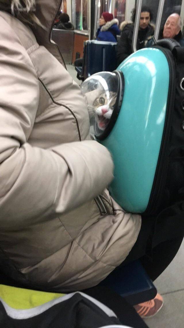 Подборка прикольных картинок  приколы,смешные картинки,юмор