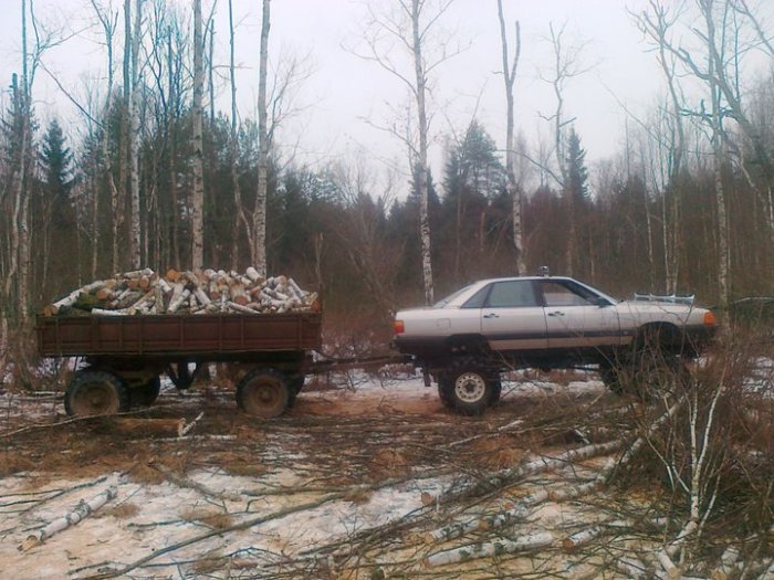 В хозяйстве помогает.