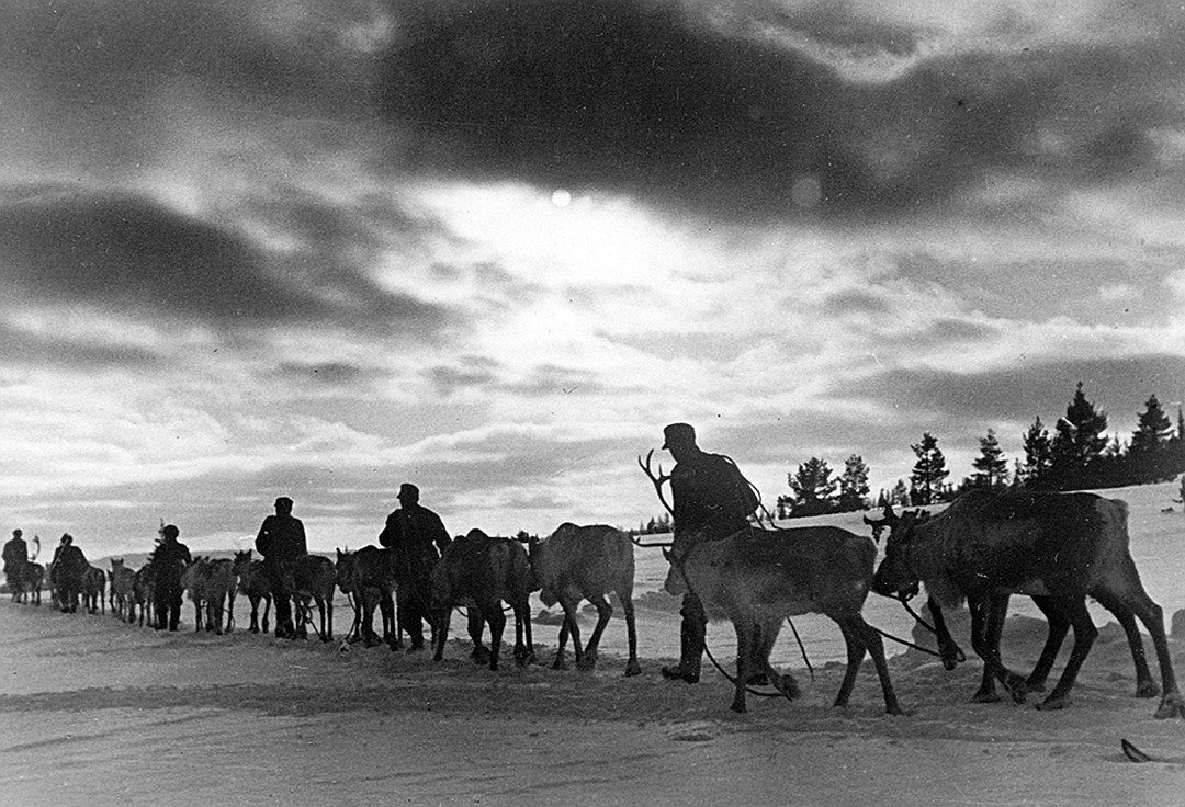 Летом и осенью 1941-го финны оккупировали Карелию Фото: GLOBAL LOOK PRESS