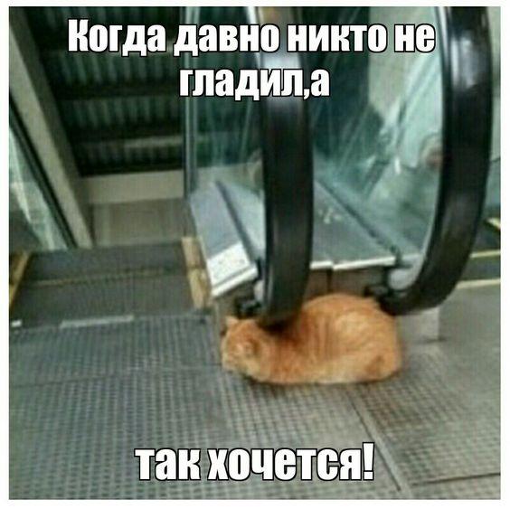 Свежие улетные картинки 