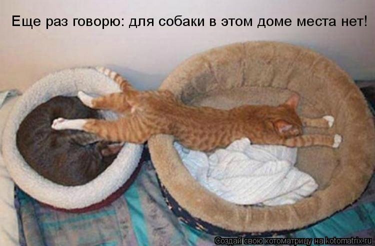 Улыбнись! Улыбнись! демотиваторы