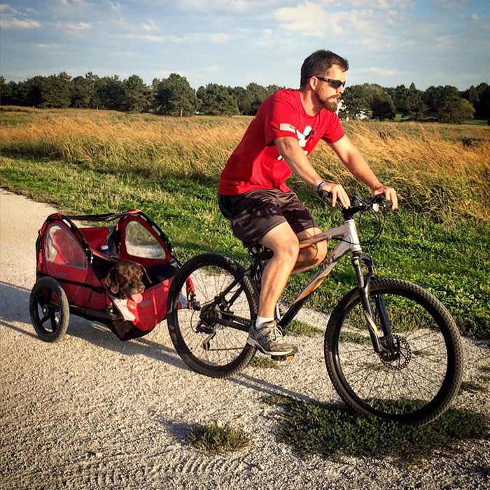 собака больна раком и последнее путешествие