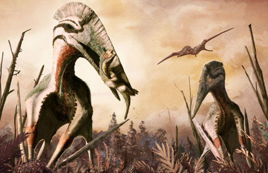 Hatzegopteryx охотится на игуанодонтиду Zalmoxes. Реконструкция: Mark Witton