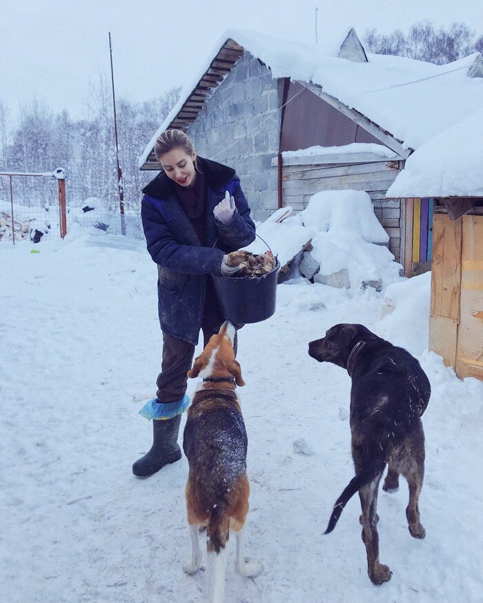 Известный московский фотограф уехала в лес, чтобы помогать животным Дарья Пушкарева, животные, истории, москва, помощь, собака, фотограф