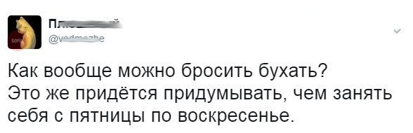 Прикольные картинки с надписями для веселья (11 фото)