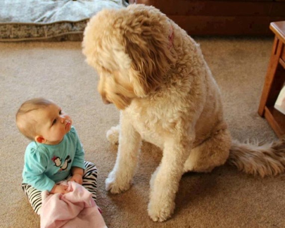 Фотографии, которые доказывают – вашему ребенку точно нужна собака