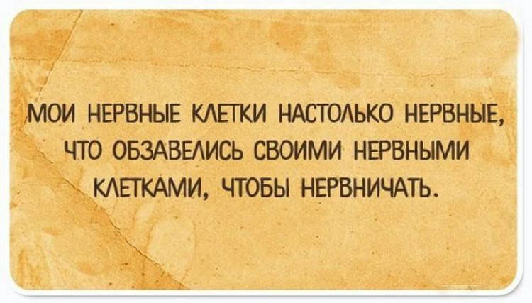 Для людей с чувством юмора! 14 открыток с житейскими мудростями картинки