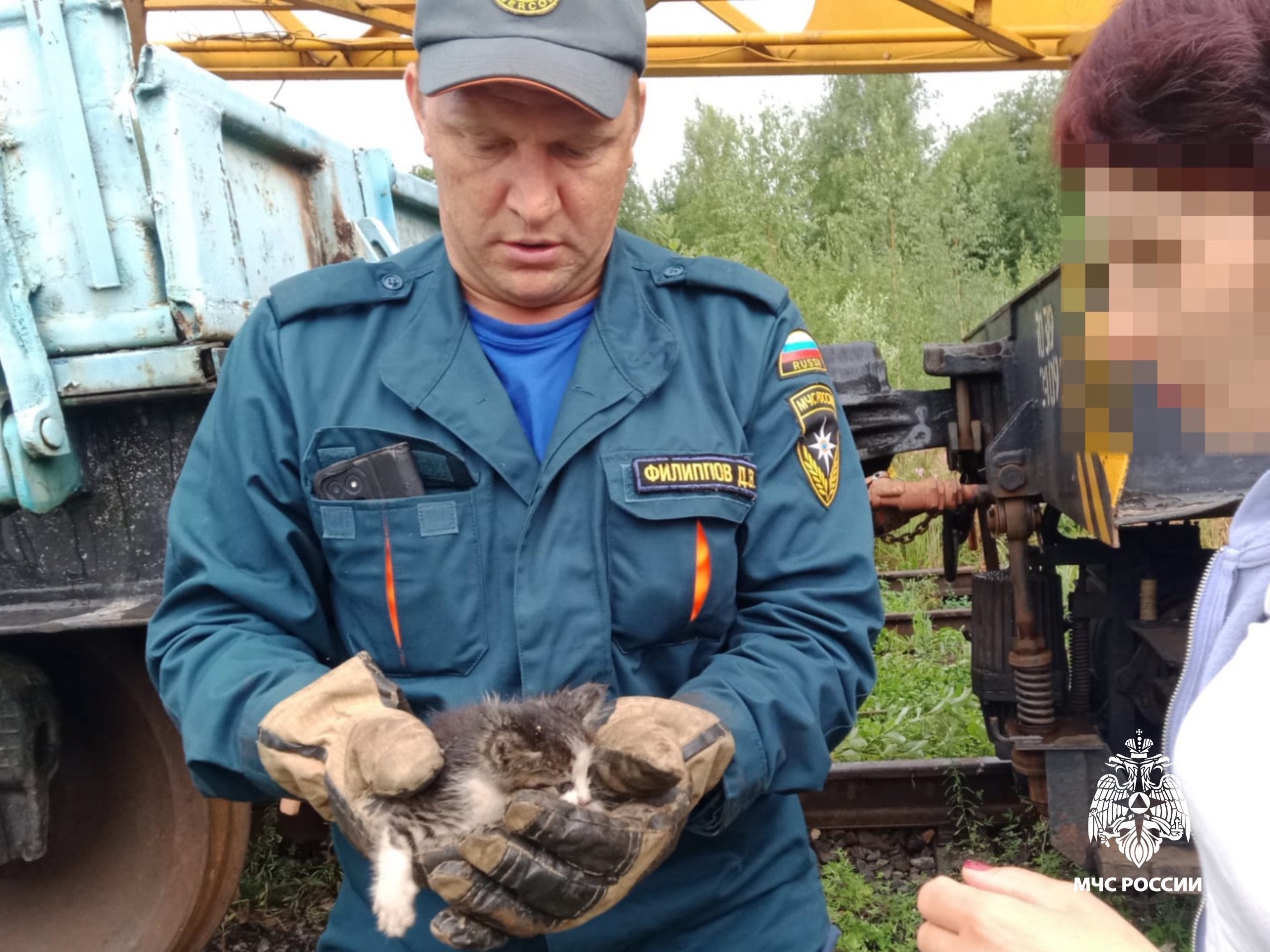 На станции Бологое спасли котенка, застрявшего под поездом