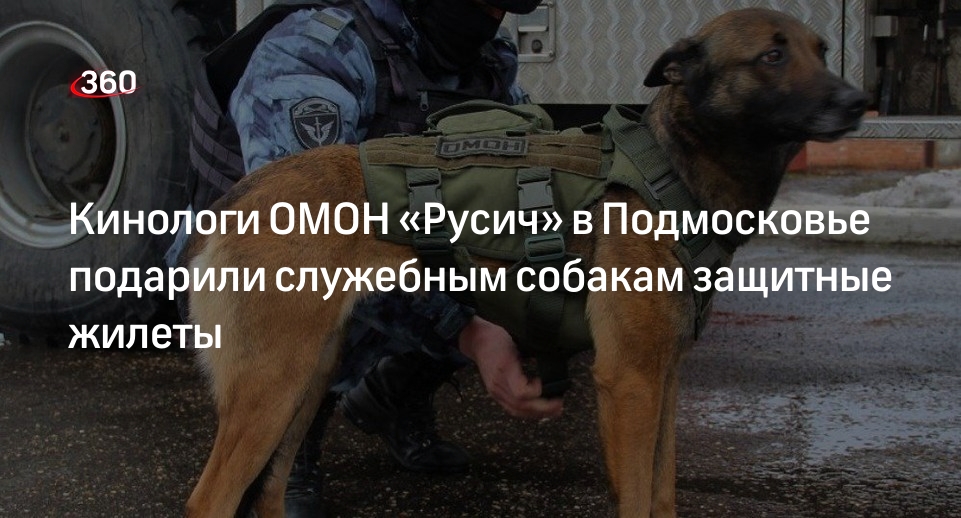 Кинологи ОМОН «Русич» в Подмосковье подарили служебным собакам защитные жилеты