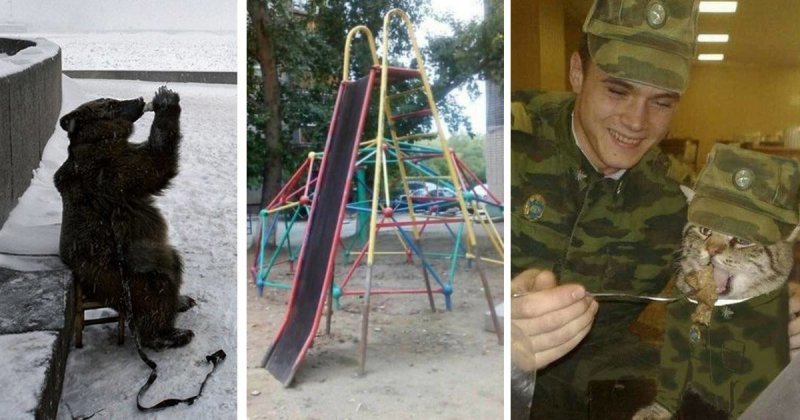 25 сцен из российской действительности, впечатлившие иностранцев 25 сцен из российской действительности, впечатлившие иностранцев смешные картинки
