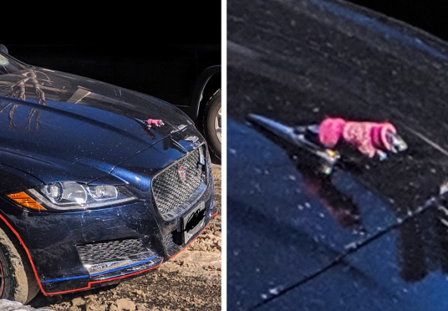 Фото, на которые следует взглянуть дважды Фото, на которые следует взглянуть дважды