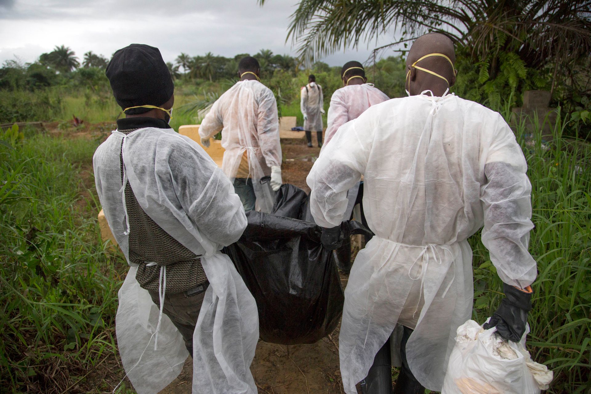 AllAfrica: власти Уганды ищут 18 миллионов долларов для борьбы с эпидемией лихорадки Эбола Весь мир