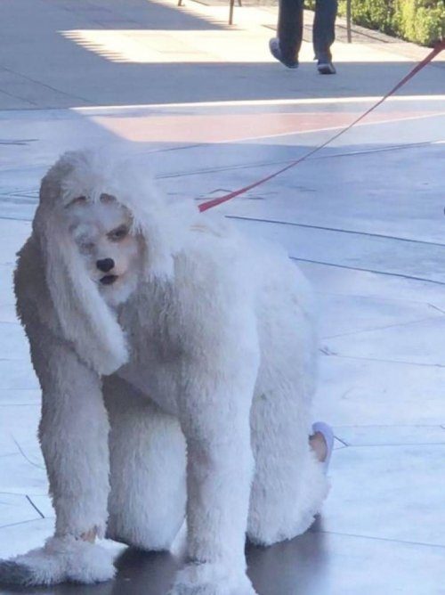 Весьма странные дела... Весьма странные дела...