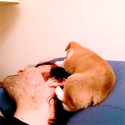 Прикольные гифки для позитива Прикольные гифки для позитива