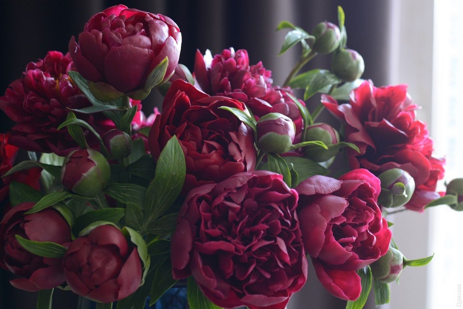 Потрясающе реалистичные фарфоровые цветы Олеси Галущенко Галущенко, Олеси, цветок, Олеся, может, совсем, изучать, стала, решила, который, цветов, настолько, букеты, сложно, влажности, полностью, творения, дёшевы, влажной, всегда