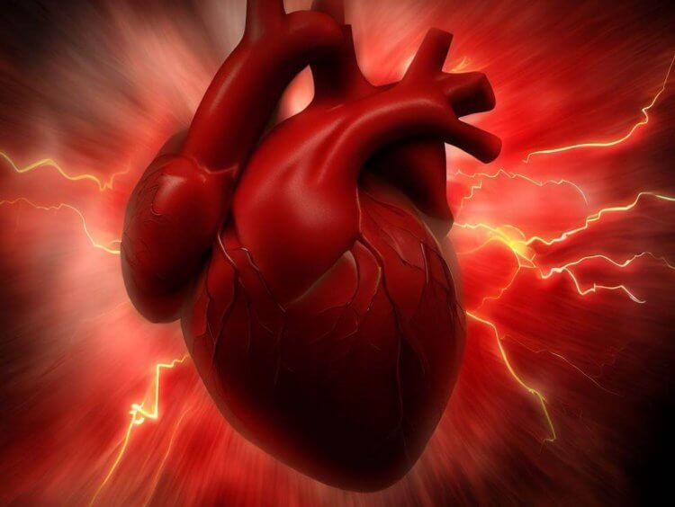 Почему многие люди умирают от сердечного приступа именно в понедельник сердечный, всего, людей, может, приступ, понедельник, сердечной, необходимо, человека, случае, приступа, происходит, миокарда, начале, больше, случается, многие, недели, сердечного, приступов