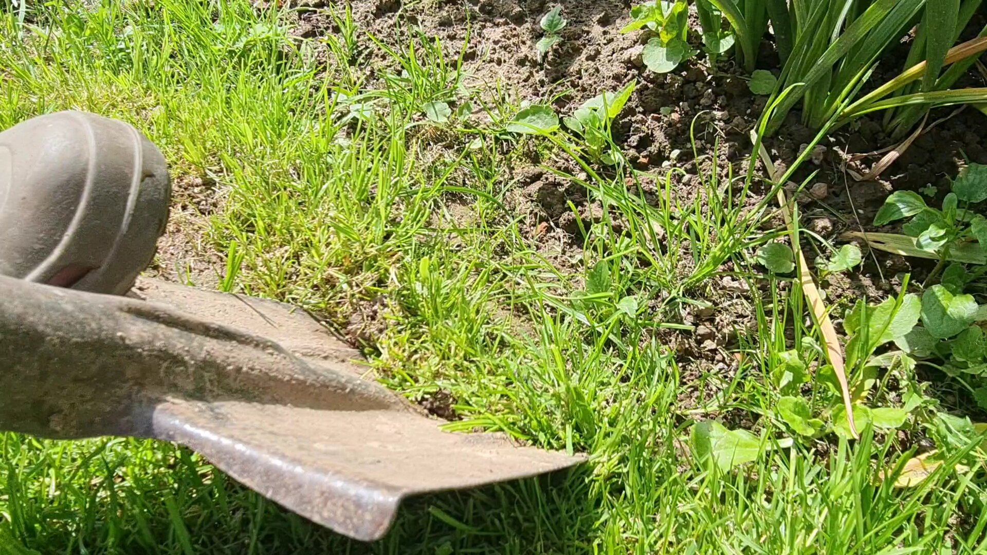 Сделали бесплатное ограждение газона от клумб как в Английских садах. Нужна только лопата и час времени дача,лайфхаки,сад и огород
