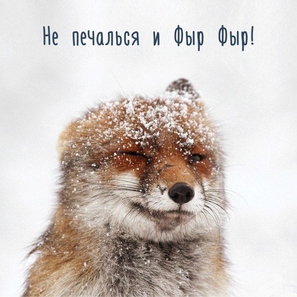 Классные и яркие картинки с фотографиями из сети Классные и яркие картинки с фотографиями из сети