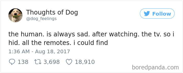 Dog Thoughts