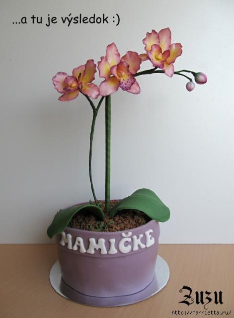 Мастер-класс по лепке орхидеи