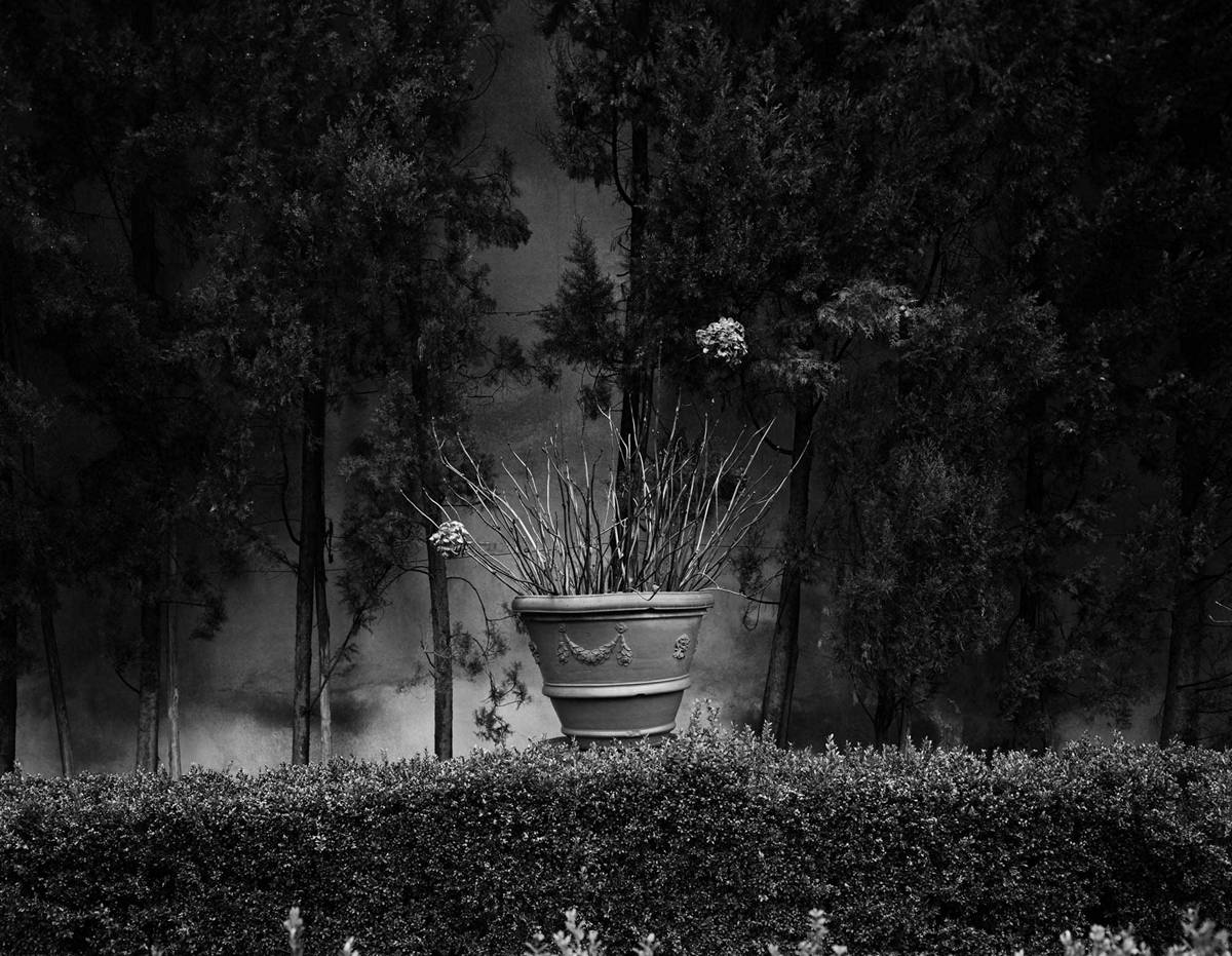 Классическое и современное в фототворчестве Реджины ДеЛуис Классическое и современное в фототворчестве Реджины ДеЛуис Фотография