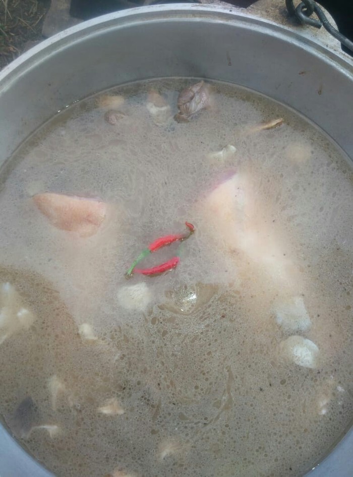   ,     . , , , , 