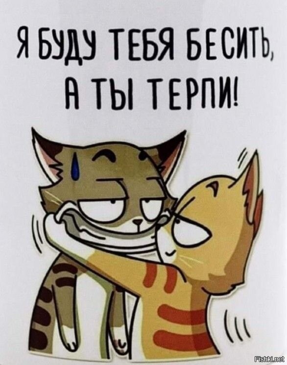 В мужском представлении, счастливая и крепкая семья - это когда жена жалуется мужу на мать, а не матери на мужа... 