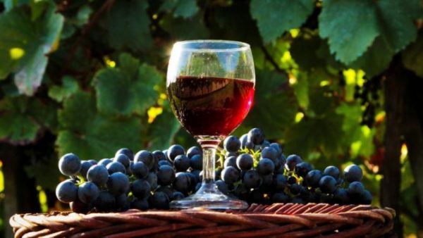 Рецепты легких вин из винограда для начинающих: петио, сухое и самое простое