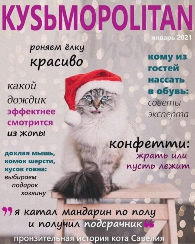 Купил умный утюг. Полдня рассуждали с ним о смысле жизни Купил умный утюг. Полдня рассуждали с ним о смысле жизни Купил, история , будем, сервисов, российских, других, многих, белого, Красного, Правда, меня , успокоительный, прям , напоследок , делать, бесит, сбора, этого, запах, пачку